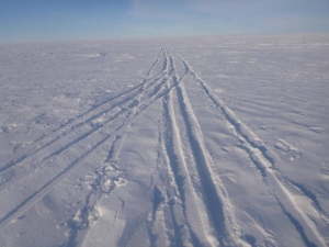 Ski tracks on the Ross Ice Shelf