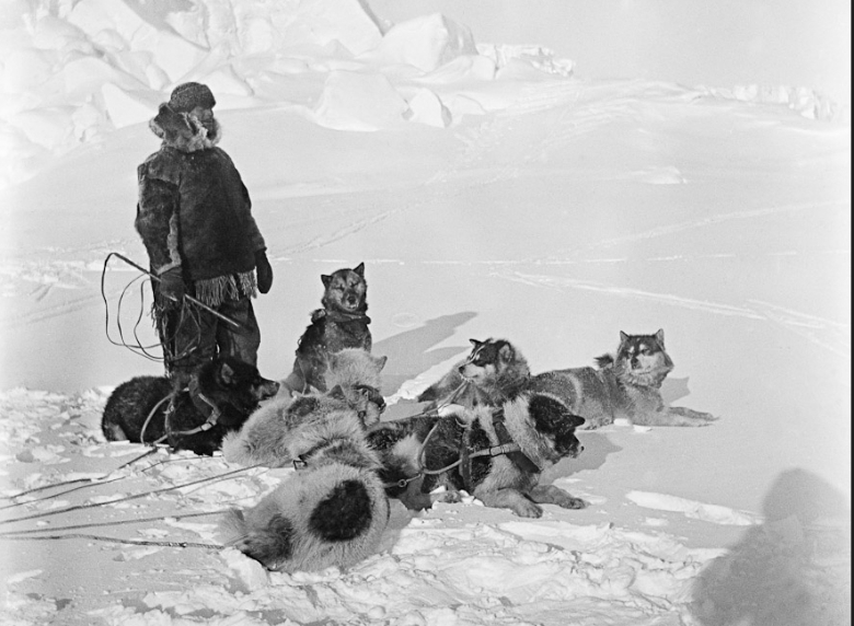 Antarctic expedition