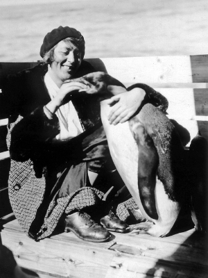 King penguin being fed by woman.